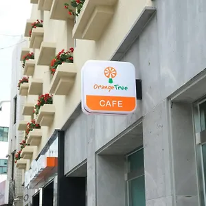 orange-tree.jejukoreahotels.com/