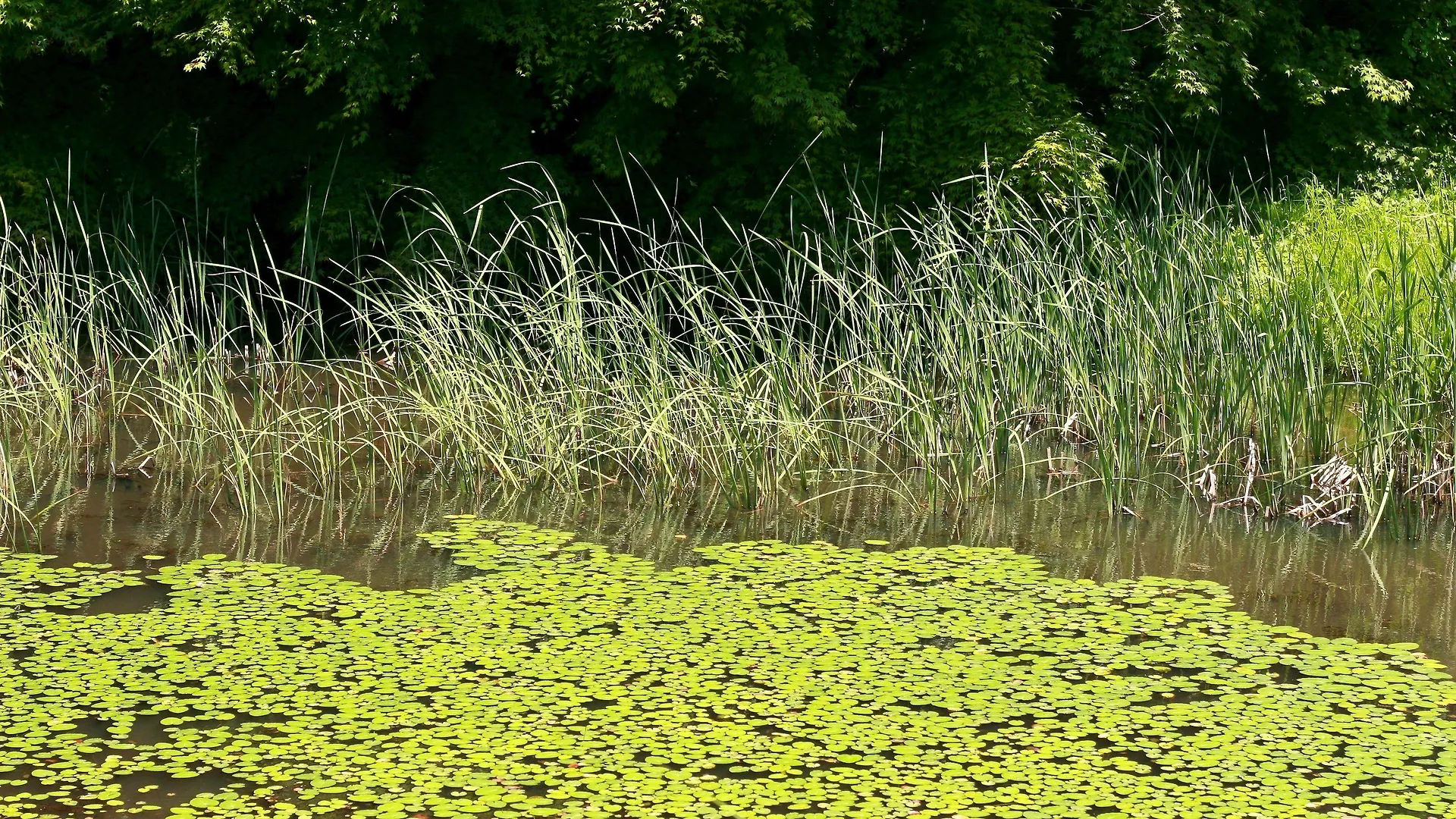 Incheon The Hotel Yeongjong